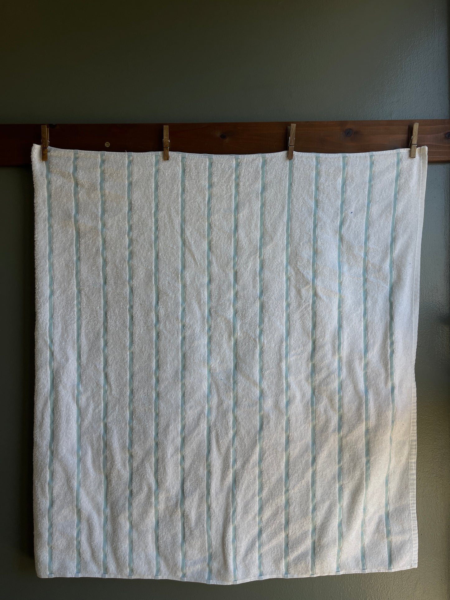 Blue Striped Towel Shorts